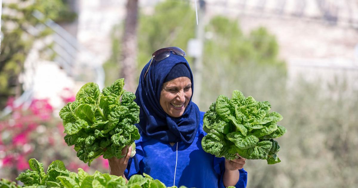 Developing agricultural cooperatives in Palestine. Credit Elias Halabi, Ministry of Foreign Affairs of the Republic of Poland