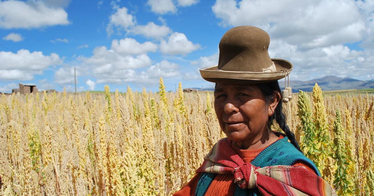 Bolivian farmer in her quinoa field. Credit S. Padulosi, Biodiversity International via Flickr