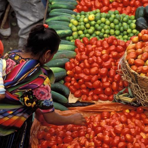 Buying tomatoes at the market, Solola, Guatemala. Photo credit Curt Carnemark, World Bank