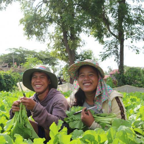 Farmers in Kandal province, Cambodia. Credit World Vision International Cambodia