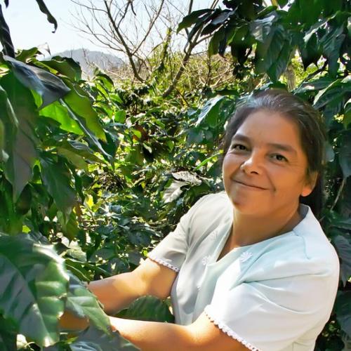 Woman coffee farmer in Nicaragua. Copyright Ariel Flores, Cafenica via Flickr