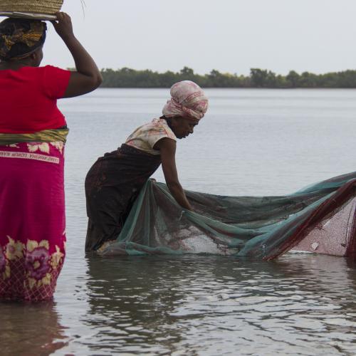 Fisher women Tanzania