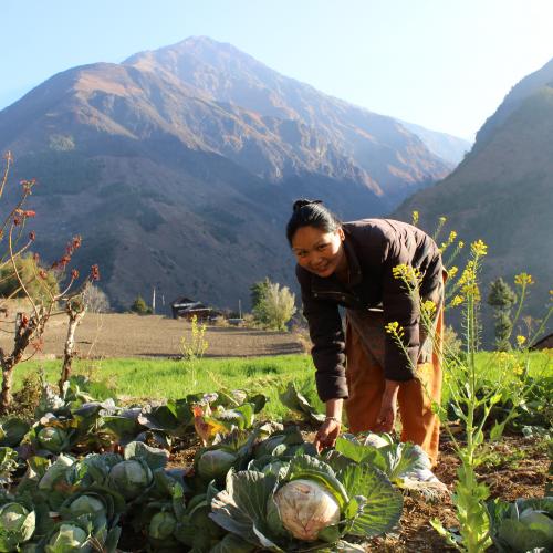 Nepal farmer