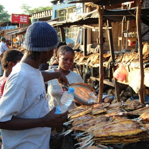 Fish market in Kenya