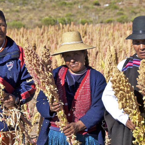 Quinoa farmers with crops in Bolivia 