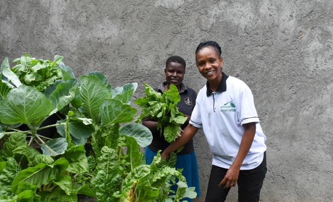 Urban farmers with Griincom Kenya