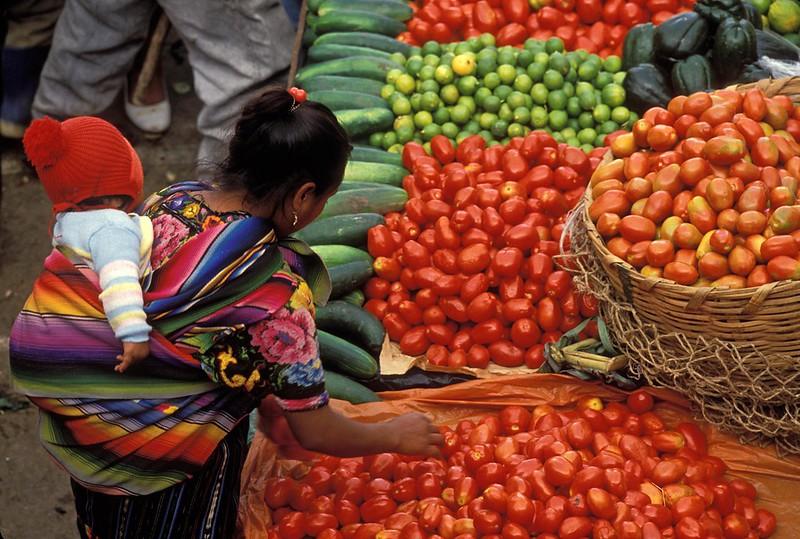 Buying tomatoes at the market, Solola, Guatemala. Photo credit Curt Carnemark, World Bank