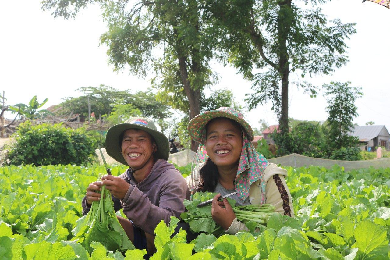 Farmers in Kandal province, Cambodia. Credit World Vision International Cambodia
