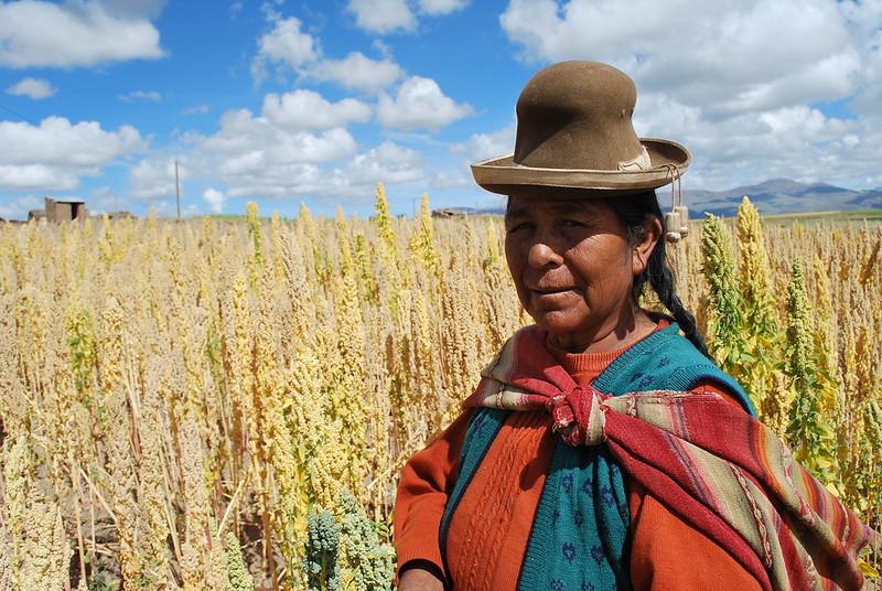 Bolivian farmer in her quinoa field. Credit S. Padulosi, Biodiversity International via Flickr
