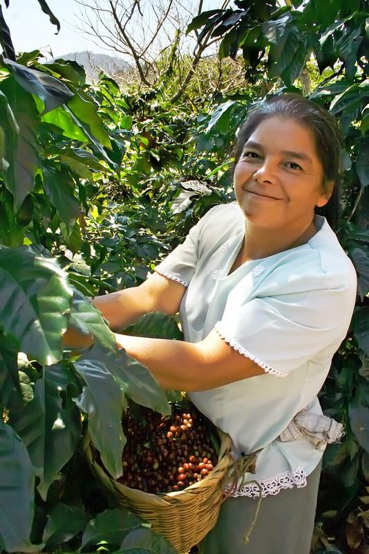Woman coffee farmer in Nicaragua. Copyright Ariel Flores, Cafenica via Flickr