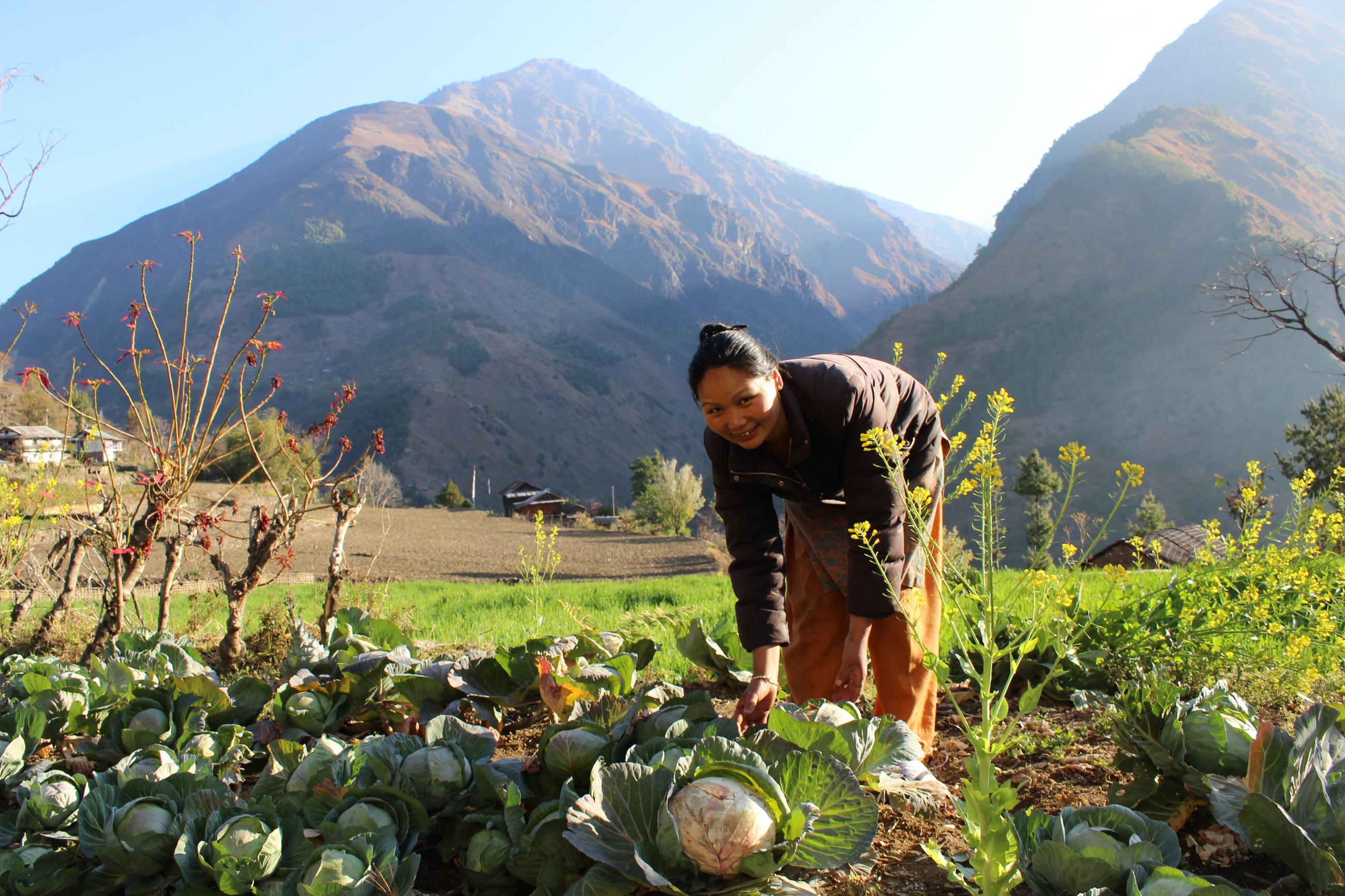 Nepal farmer