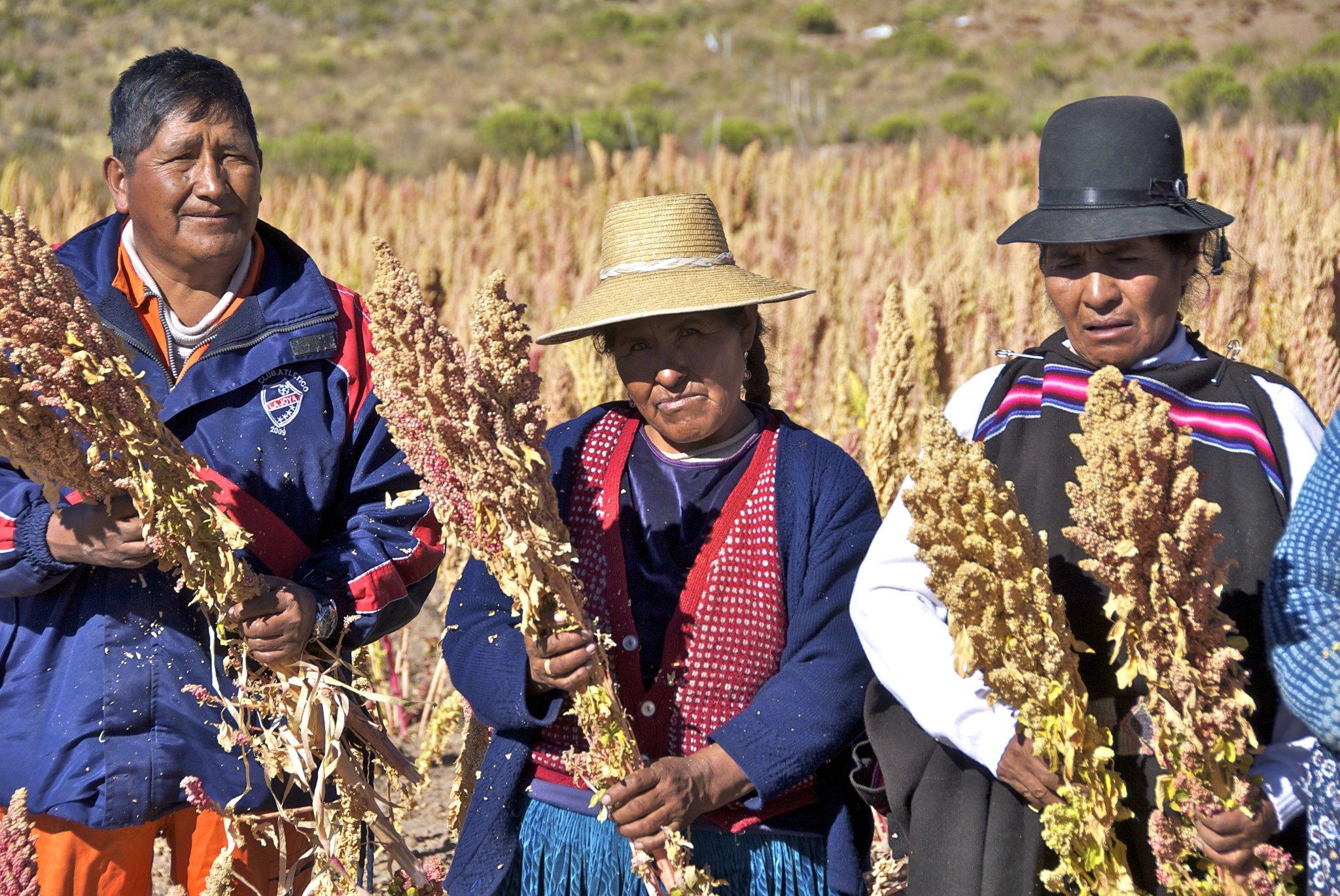 Quinoa farmers with crops in Bolivia 